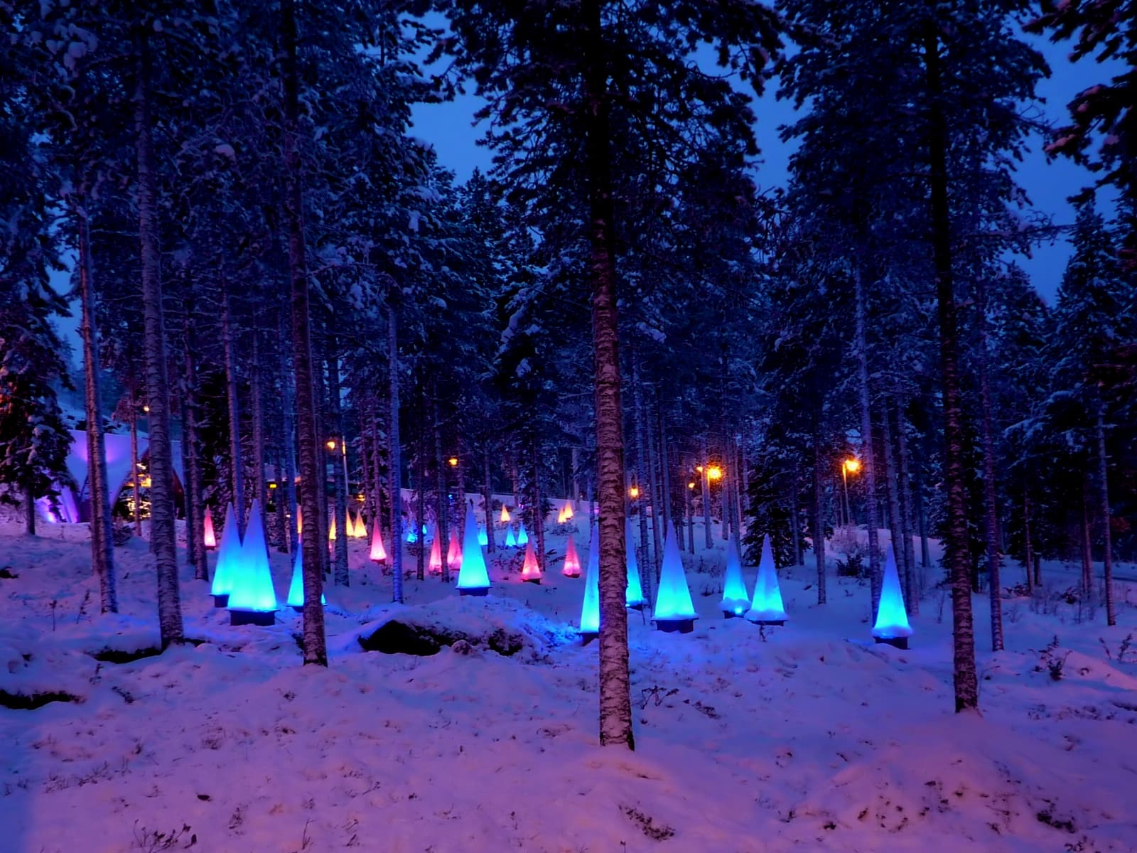 Blue-lit ice lanterns among snowy pine trees at the entrance to SantaPark at dusk