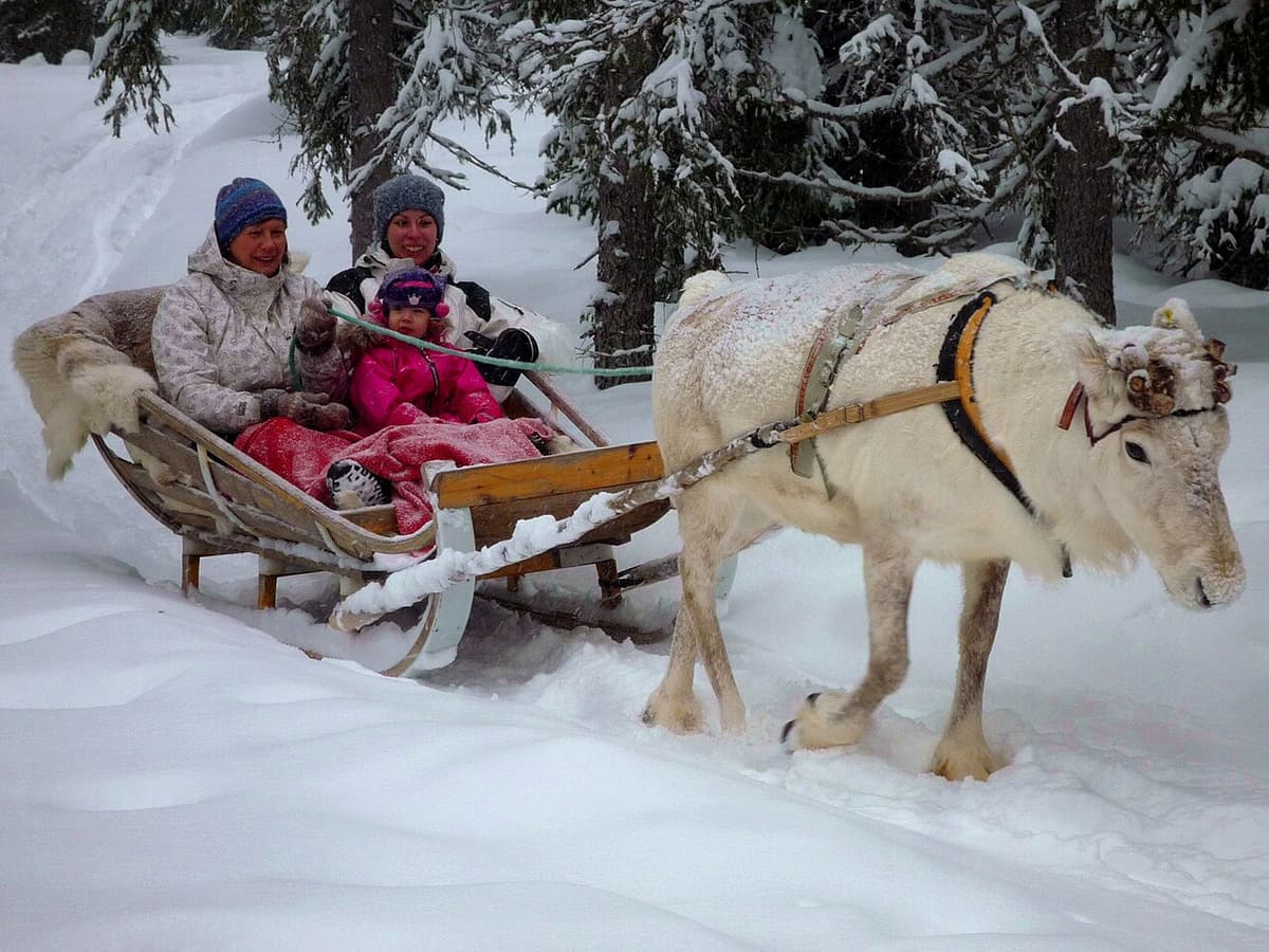 A family tucked under blankets in a wooden sleigh pulled by a white reindeer